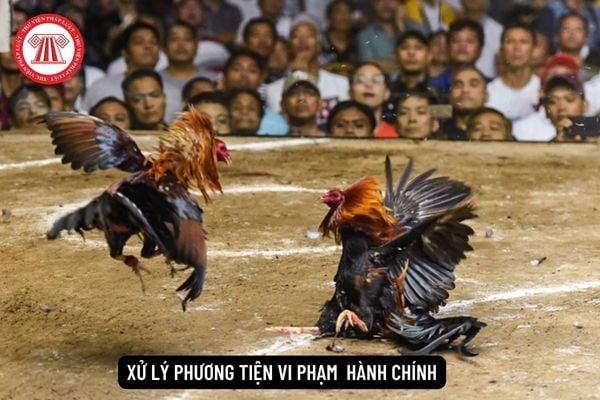 Tìm hiểu về bet365 tanzania và những ưu điểm khi tham gia cá cược trực tuyến