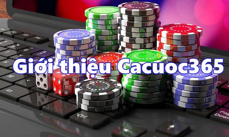 Khám phá bảng tỷ số mới nhất hôm nay cùng thông tin trận đấu hấp dẫn