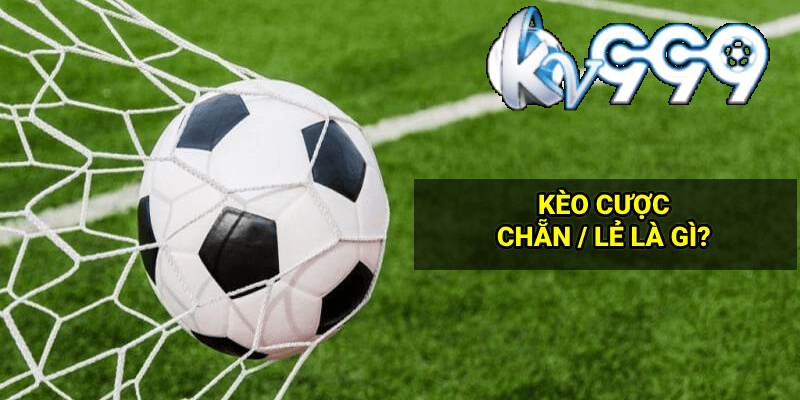 Khám phá app vay tiền mới siêu tiện lợi với nhiều ưu đãi hấp dẫn từ app vay tiền mới